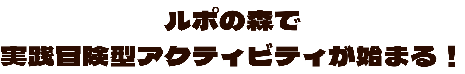ルポの森で実践冒険型アクティビティが始まる