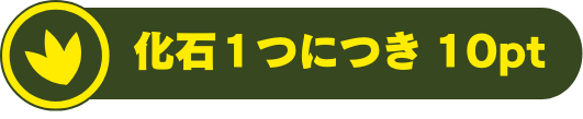 化石一つにつき10ポイント