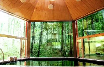 天然温泉の写真