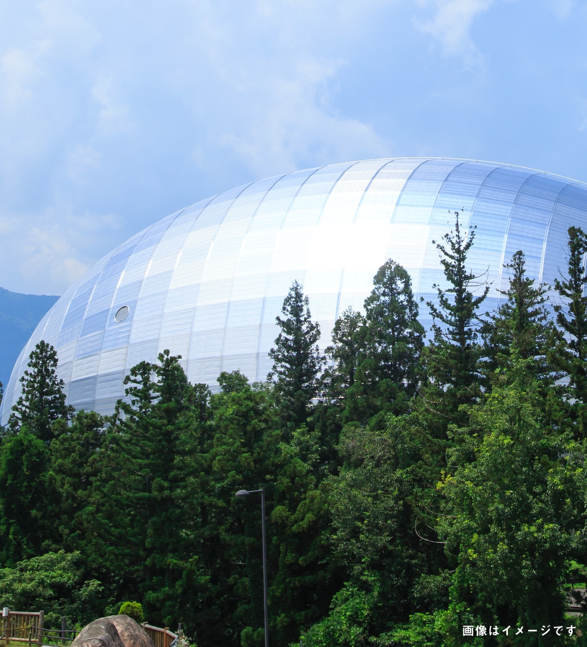 恐竜博物館の写真