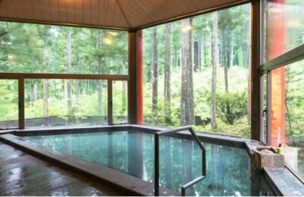 ルポの森の天然温泉の写真