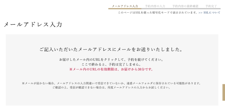 オプション入力画面のキャプチャ