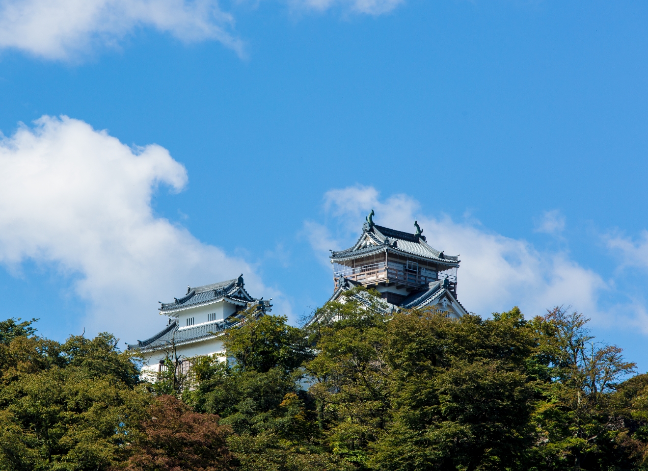 天空の城 越前大野城の写真