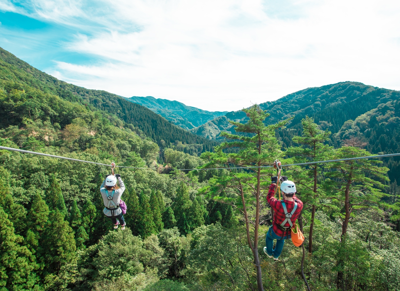ツリーピクニックアドベンチャーいけだの写真