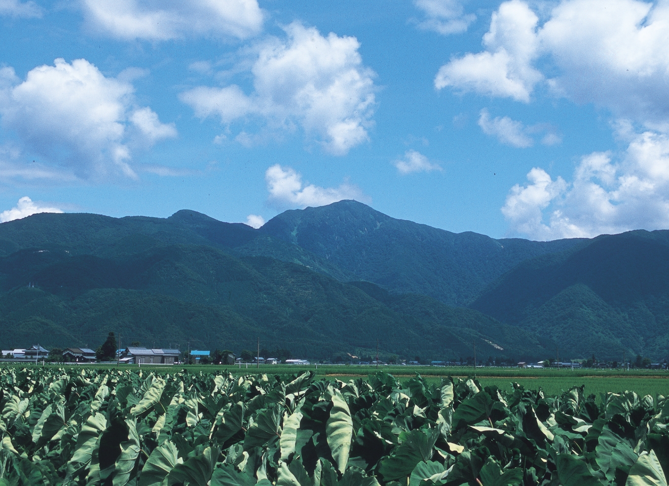 荒島岳（あらしまだけ）の写真