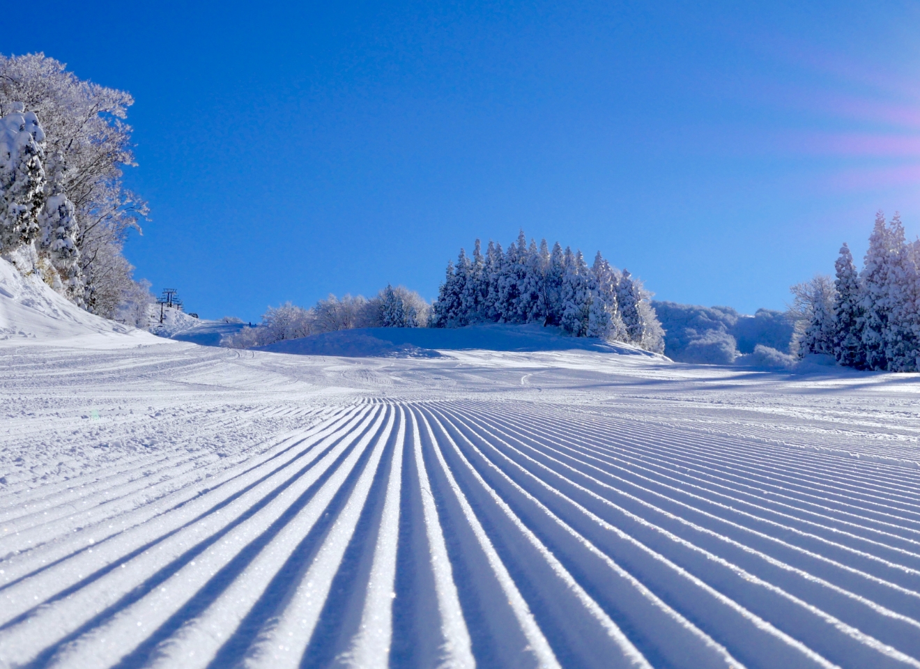 スキージャム勝山の写真