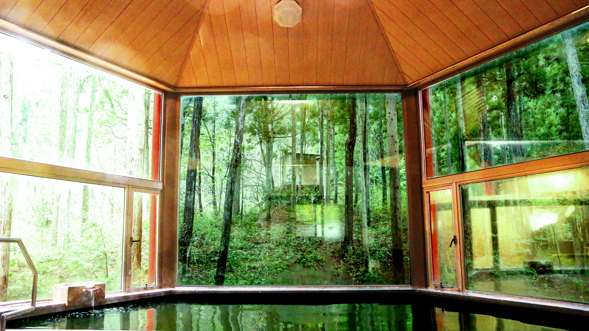 ルポの森の天然温泉の浴場写真