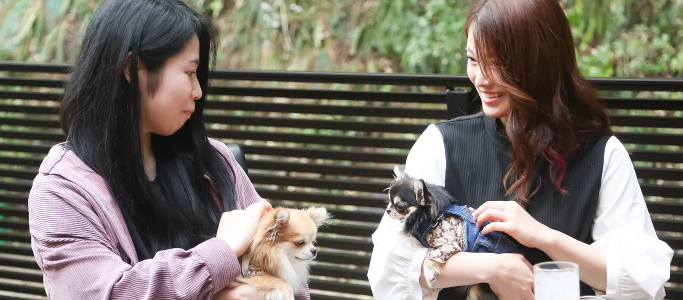 犬を抱いてランチを楽しむ女性たちのイメージ
