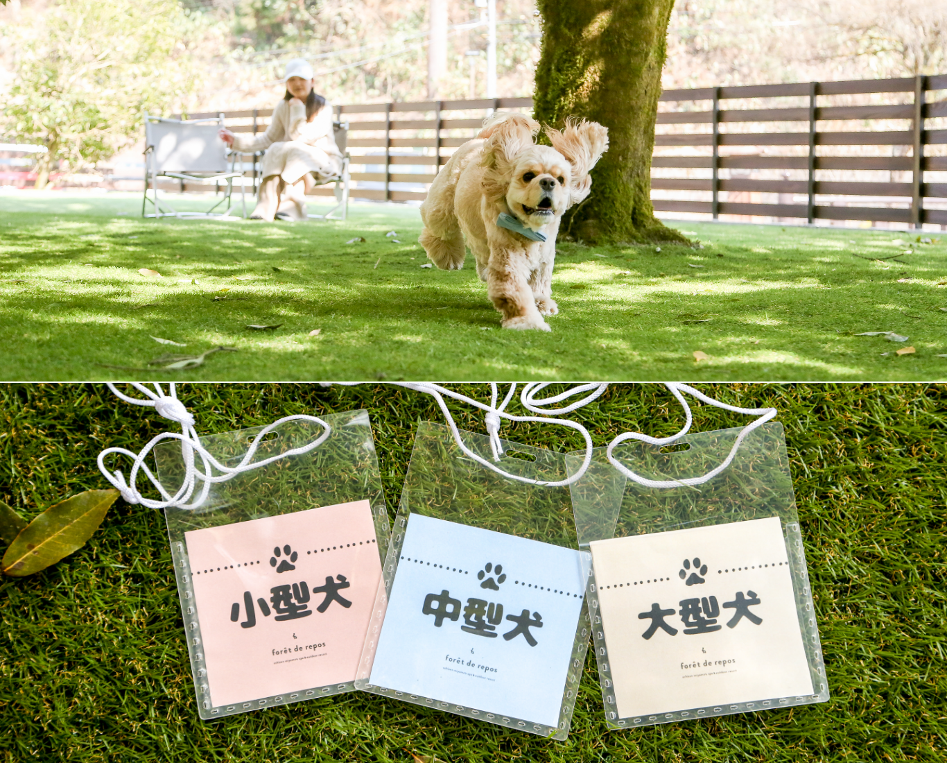 ルポの森ドッグランイメージ