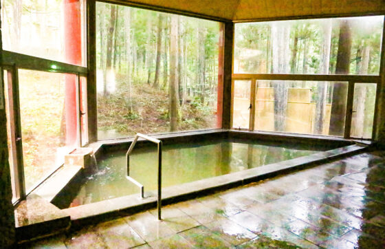 【宿泊棟・グレードアップ2食（石焼厳選和牛御膳）】豊かな自然の中で美味・温泉を満喫の写真