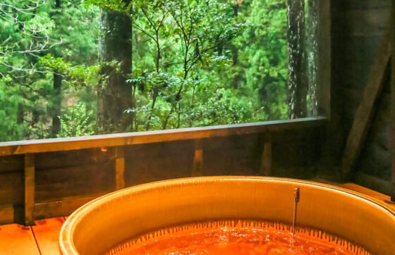 【宿泊棟・天然鮎御膳2食】自然に囲まれた越前美山でぜひ初夏～夏の味覚を堪能の写真