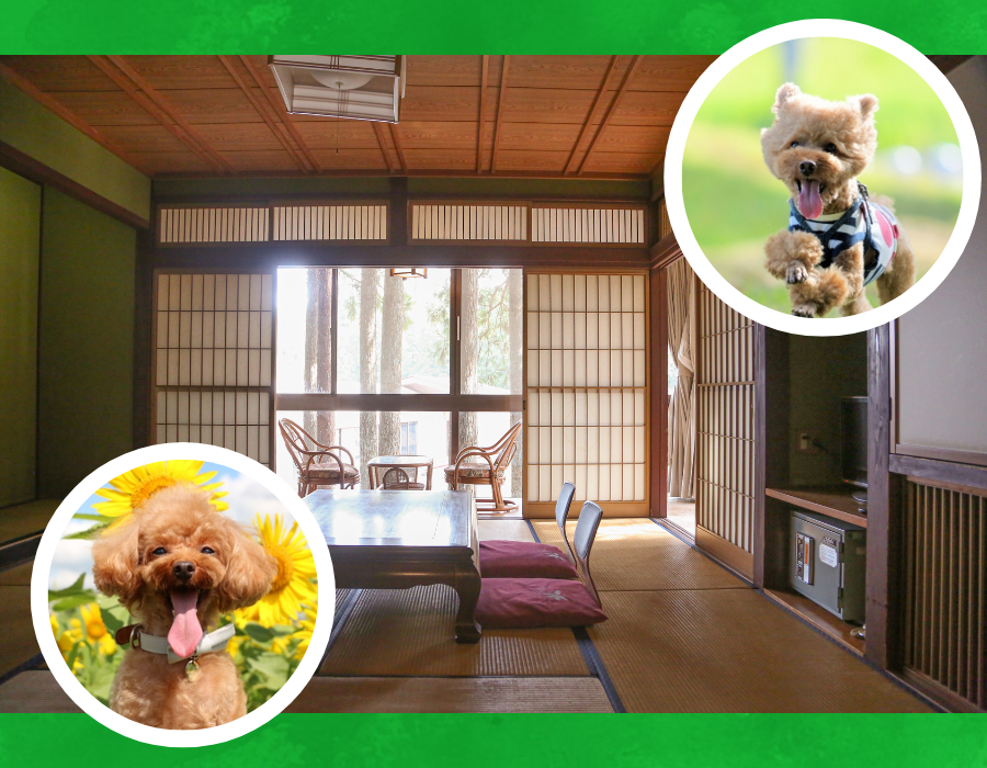 【新宿泊プラン】館内ペット同伴宿泊プラン登場！