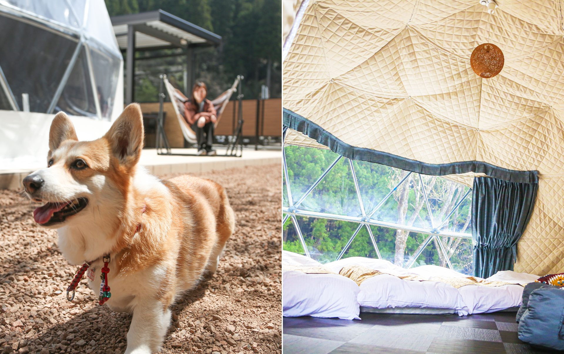 グランピングペットと泊まれるエイシア1棟のメインイメージ写真