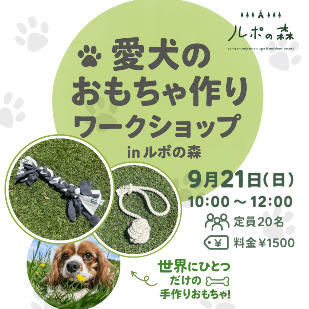 愛犬のおもちゃづくりワークショップ開催のお知らせ